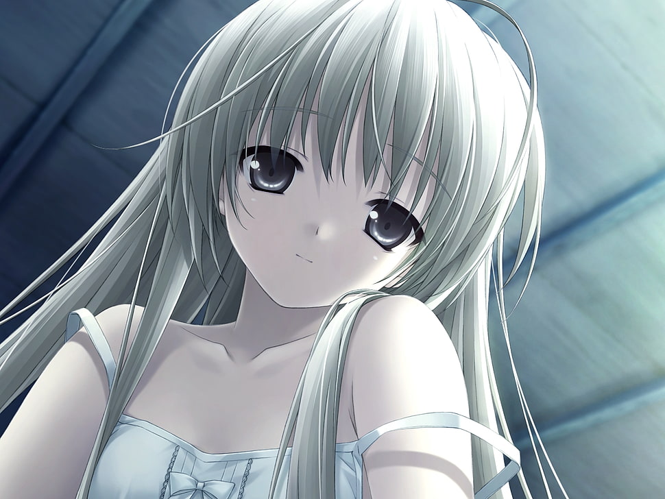 female anime character with gray hair HD wallpaper