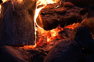 brown firewood, fire, red, burning, Sweden HD wallpaper