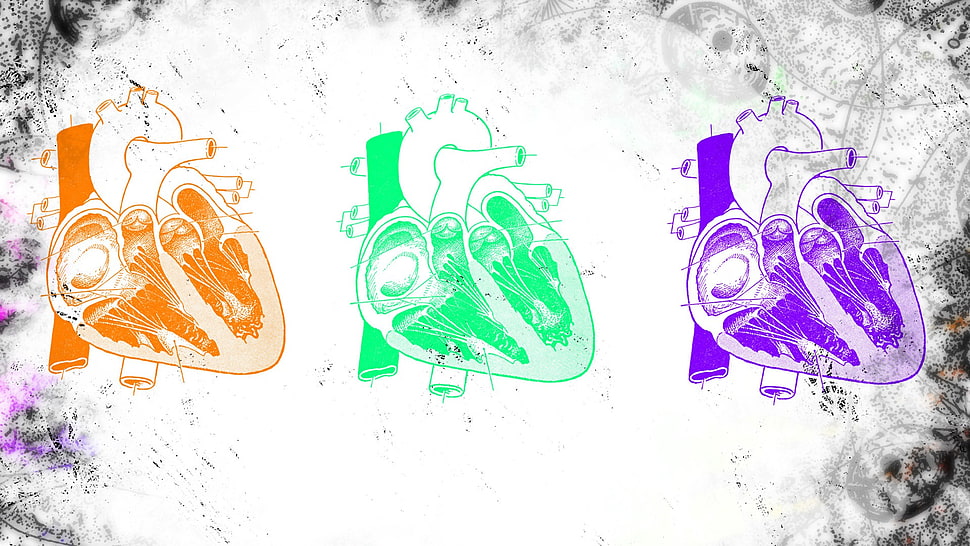 three assorted-color heart illustrations, heart, colorful, medicine, science HD wallpaper