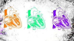 three assorted-color heart illustrations, heart, colorful, medicine, science HD wallpaper