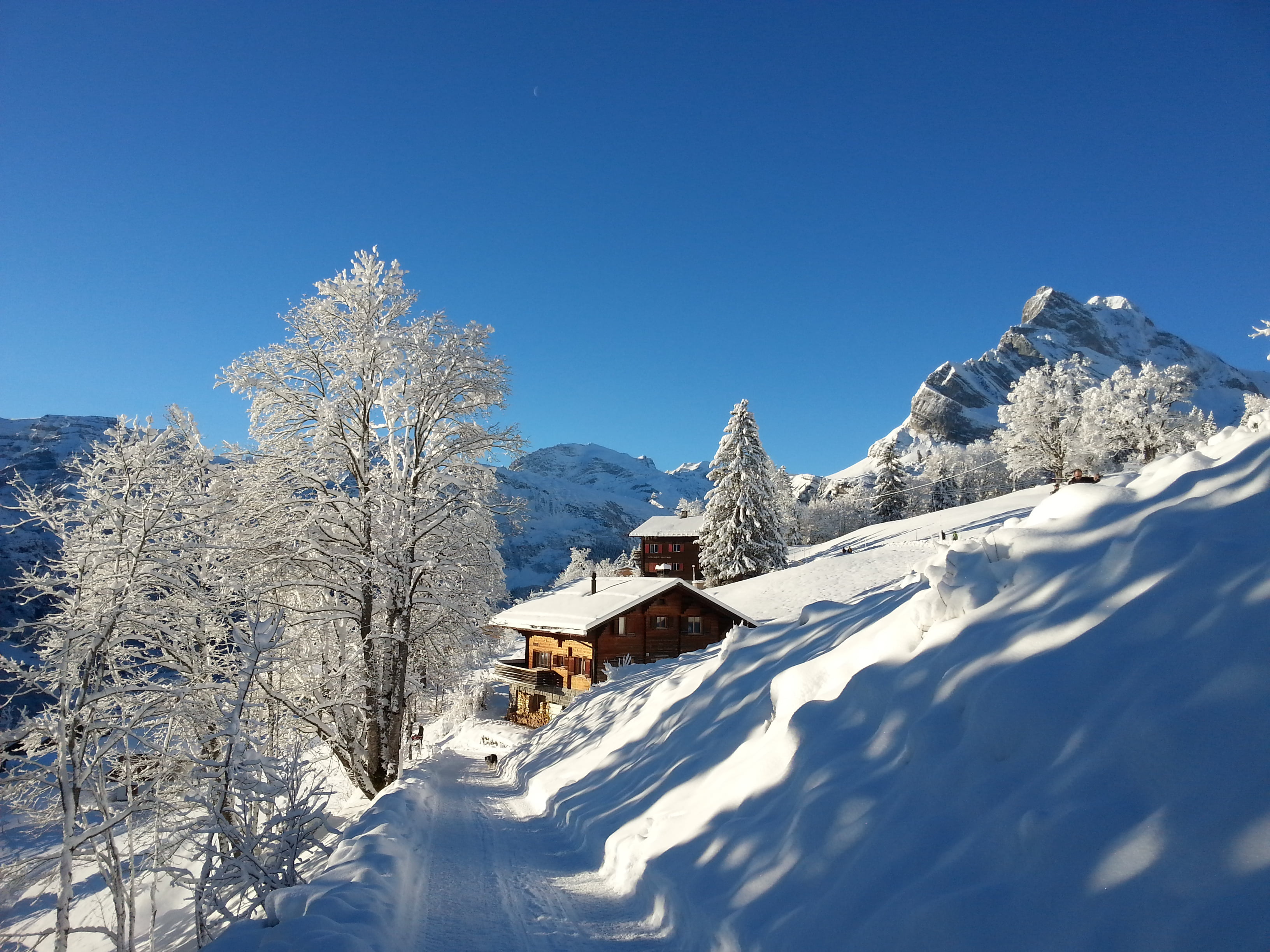 brown 2-storey house beside snow field, swiss cottage