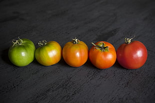 five red and orange tomatoes