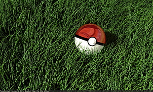 red and white Pokemon pokeball, Pokémon, Pokéballs, grass, render