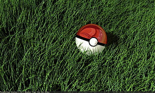red and white Pokemon pokeball, Pokémon, Pokéballs, grass, render