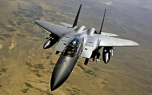 grey jet fighter, McDonnell Douglas F-15 Eagle HD wallpaper