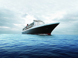 white and black boat on boat, cruise ship, vehicle, ship, sea