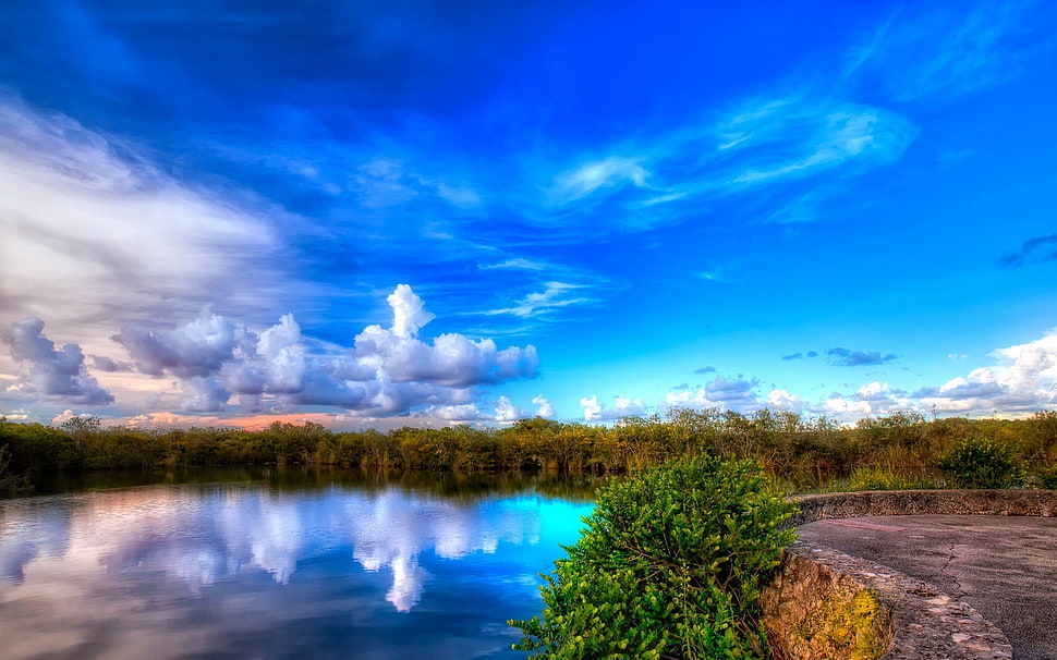 green trees, landscape HD wallpaper