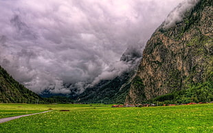 green grass field near mountain