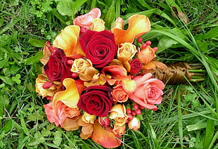 Roses flower bouquet HD wallpaper