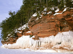 brown rock with ice formation beside trees