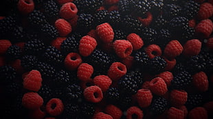 bunch of raspberry and blackberry fruits, fruit, rasberry, food