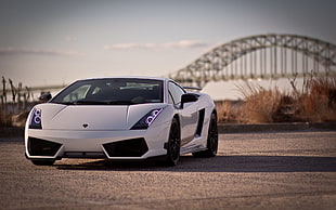 white Lamborghini Gallardo in distant of grey bridge
