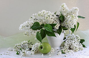 white clustered flowers in white ceramic vase