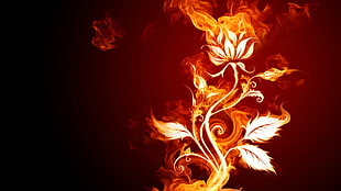 flaming flower digital wallpaper, flowers, fire, digital art