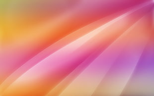 multicolored digital illustration