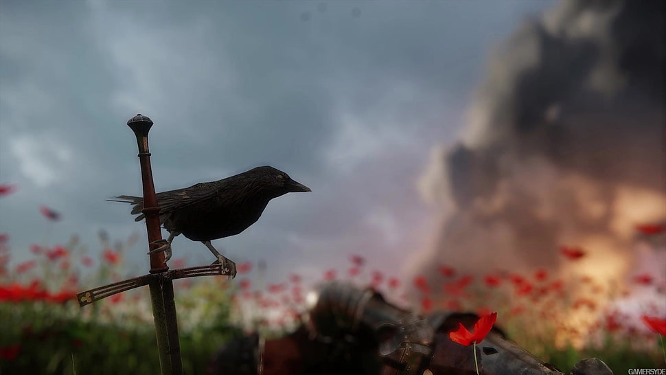 black bird, video games, Kingdom Come: Deliverance, Warhorse Studios HD wallpaper