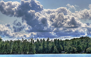 blue and white abstract painting, landscape, forest, water, clouds