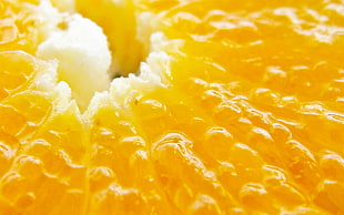 Orange,  Fruit,  Macro,  Tasty HD wallpaper