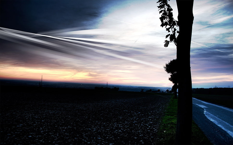 tree trunk, landscape, sky HD wallpaper