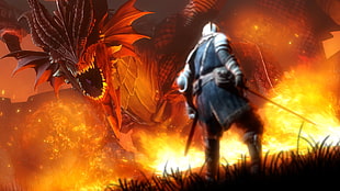 man in gray hoodie and red dragon animated cartoon, video games, Dark Souls, fire, dragon
