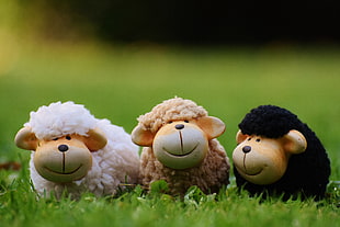 white, brown, and black sheep plush toys