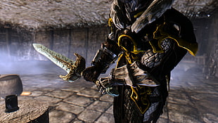 black and yellow dresses swordsman digital wallpaper, The Elder Scrolls V: Skyrim, Khajiit