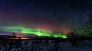northern lights, night, aurorae, nature, stars