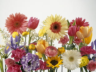 assorted-color flowers HD wallpaper