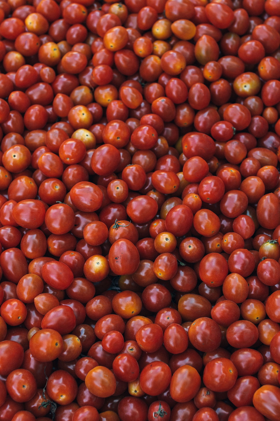 bunch cherry tomatoes HD wallpaper