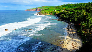 blue beach, Hawaii, Maui, tropical forest, tropics HD wallpaper