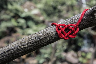red shoe lace, Heart, Rope, Spelled HD wallpaper