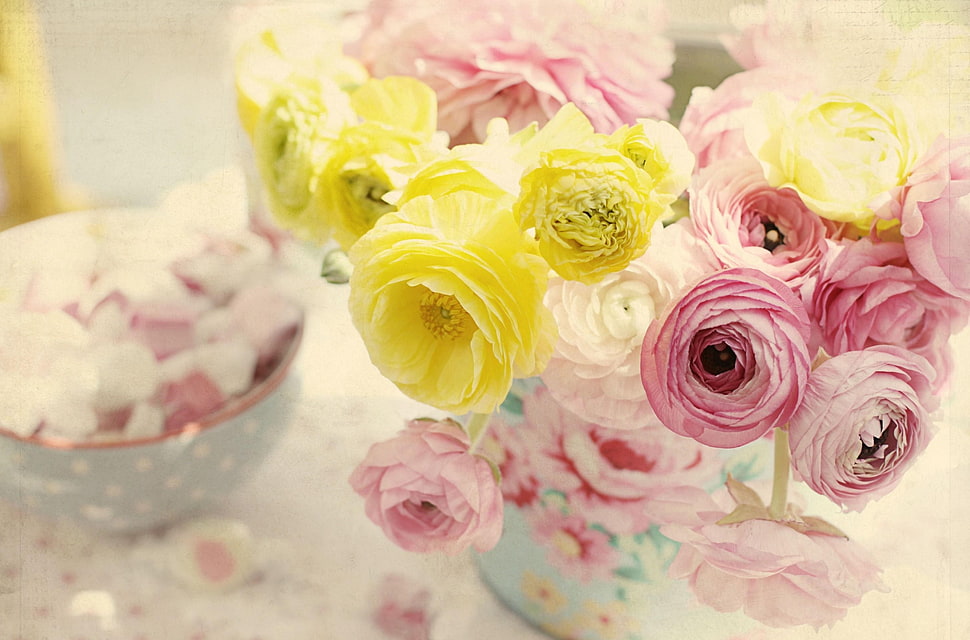 white, pink, and yellow petaled flowers HD wallpaper