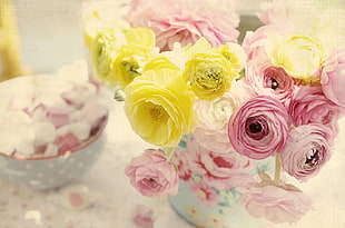 white, pink, and yellow petaled flowers