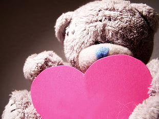 brown bear plush toy holding heart HD wallpaper