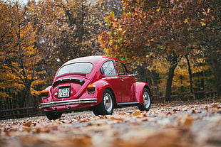 low-angle photo of red Volkswagen Beetle HD wallpaper