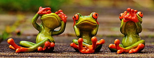 three frogs photo during daytime HD wallpaper