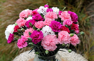 purple, pink and white flowers