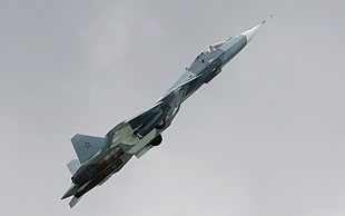 gray and white fighter jet, airplane, Sukhoi T-50, PAK FA, military aircraft