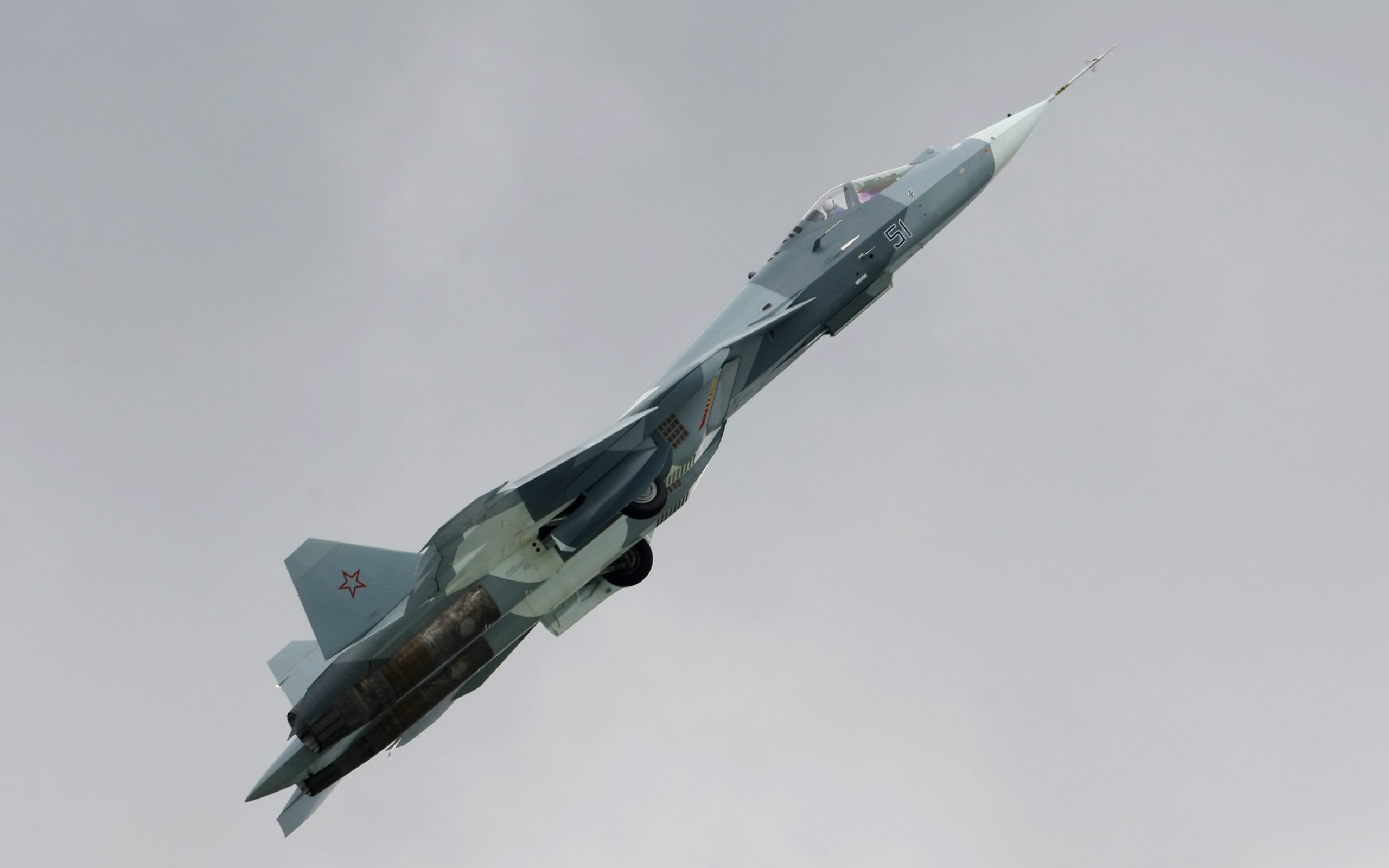 Online crop | gray and white fighter jet, airplane, Sukhoi T-50, PAK FA ...
