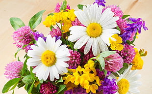 white Daisy flower arrangement