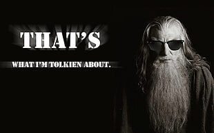 That's What I'm Talkin About text, The Lord of the Rings, Gandalf, wizard, sunglasses HD wallpaper