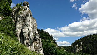 rock mountain with trees
