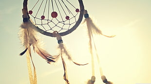 brown and white Dreamcatcher during day time HD wallpaper
