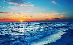 beach shore, beach
