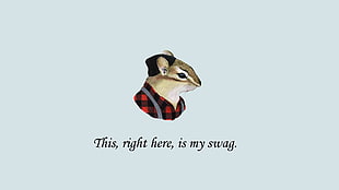 brown mouse illustration with this right here is my swag text, quote, mice, minimalism, artwork