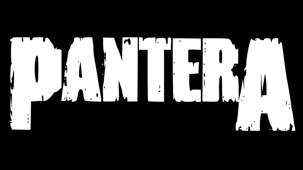 Pantera illustration HD wallpaper