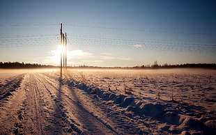landscape, nature, snow, power lines