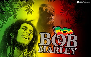 Bob Marley poster, collage, Bob Marley