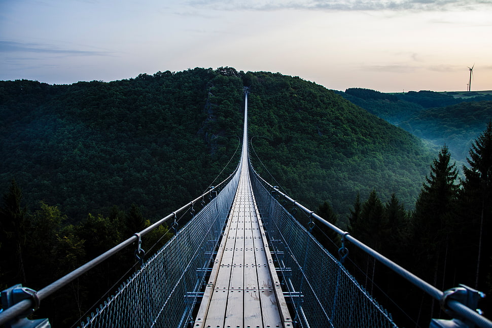 gray and black bridge HD wallpaper