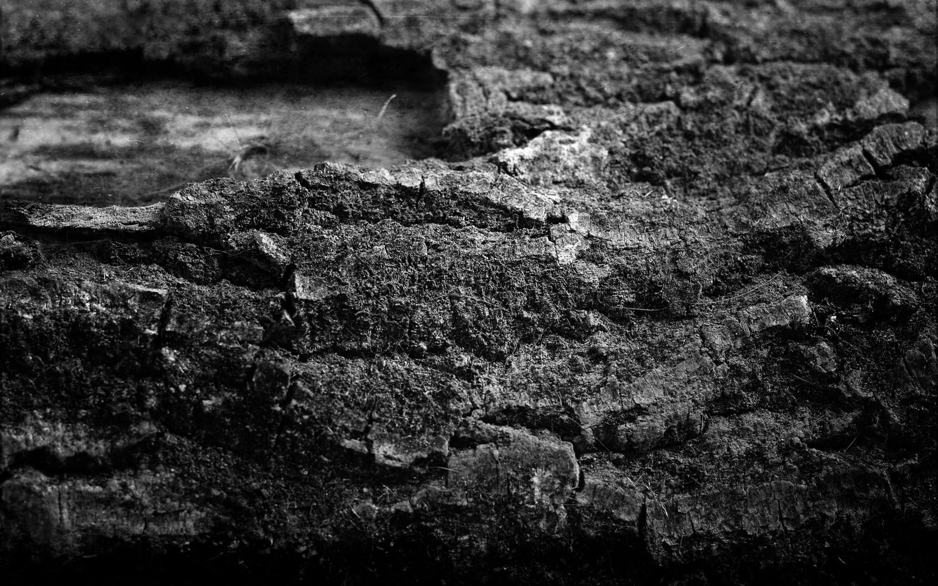 Grayscale Photography Of Black Stone Fragment Hd Wallpaper Wallpaper